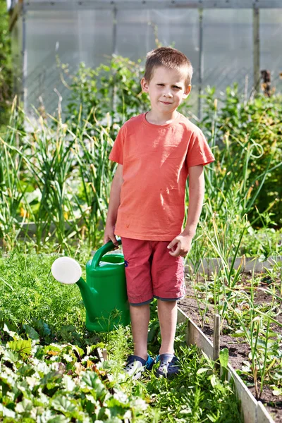 Kleiner Junge mit Gießkanne im Gemüsegarten — Stockfoto