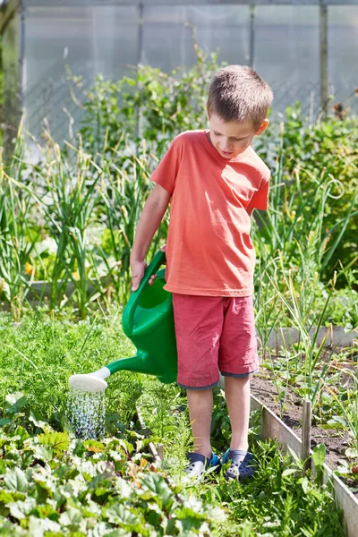 Little boy pour garden — Stock Photo, Image