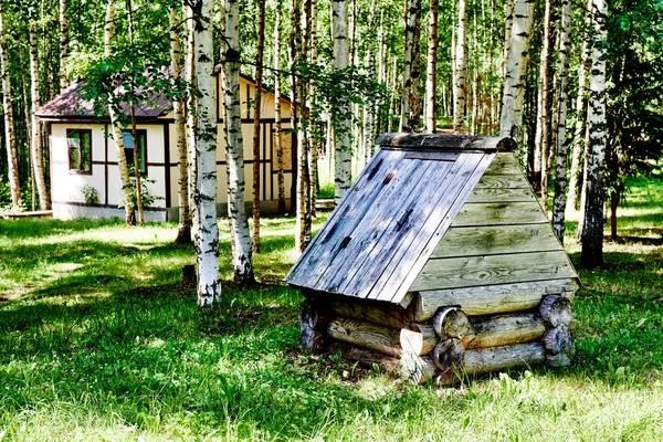 Alter Brunnen im Naherholungsgebiet Wald — Stockfoto