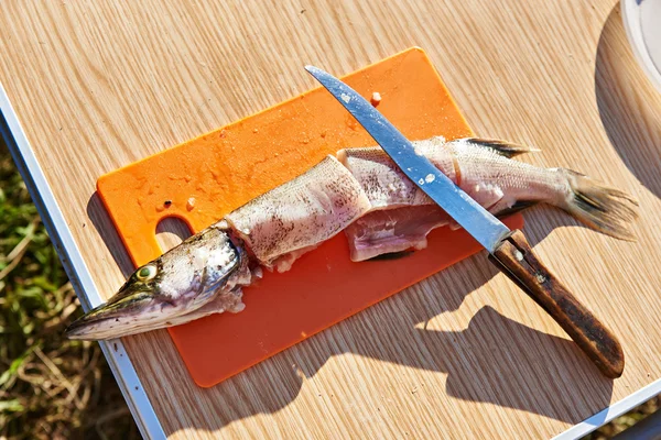 Pike op een snijplank — Stockfoto