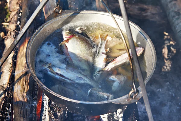 Cooking fish soup in the stowed bowler over campfire — Stock Photo, Image