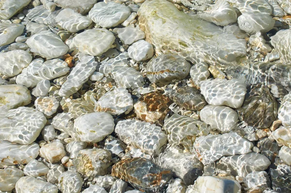 Steine auf dem Meeresboden in klarem Wasser — Stockfoto