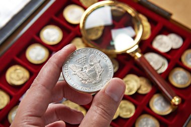 American dollar in hands of numismatist clipart