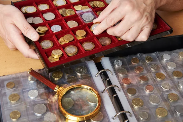 Numismatiker med sin samling av mynt — Stockfoto