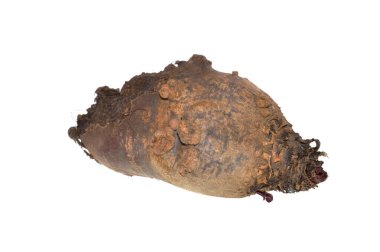 olgun pancar beyaz arkaplanda izole