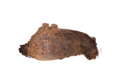 olgun pancar beyaz arkaplanda izole