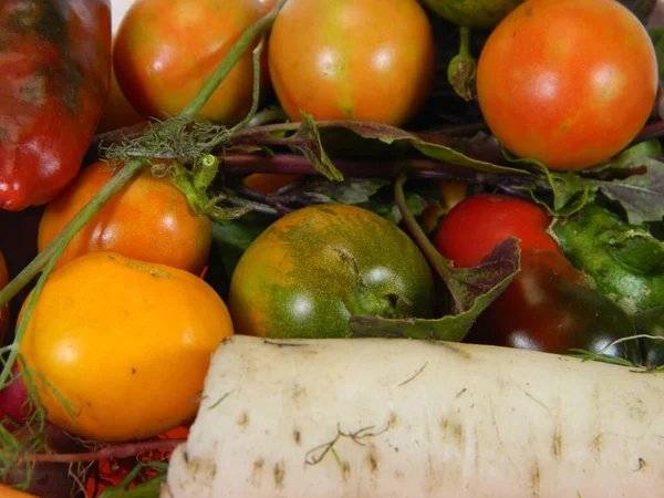 Tomaten Geïsoleerd Witte Achtergrond — Stockfoto
