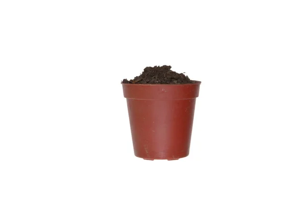 Flower Pot Isolated White Background — Stock Photo, Image