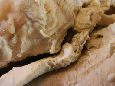                                Beyaz arkaplanda izole edilmiş haşlanmış et