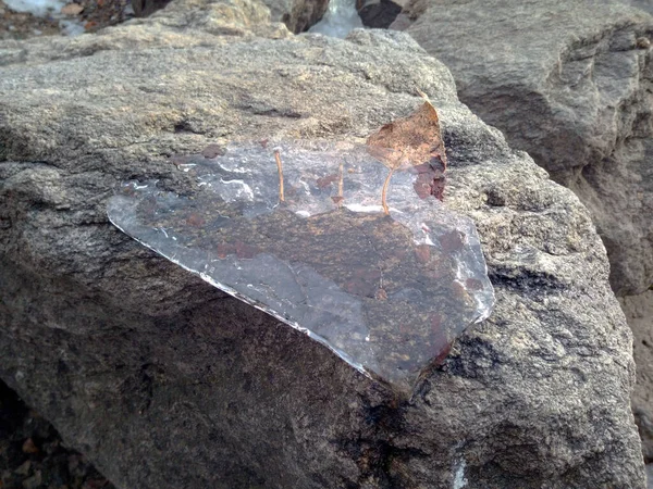 Musgo Verde Sobre Piedra Invierno —  Fotos de Stock