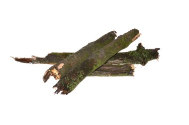 beyaz arkaplanda izole edilmiş çürük dal