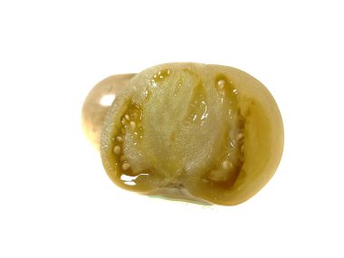 Beyaz arkaplanda yeşil domates