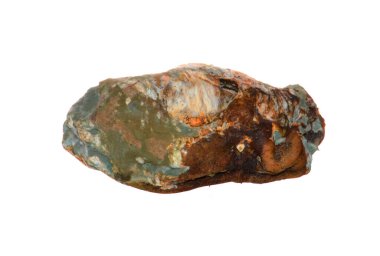 Beyaz arkaplanda küf izole edildi