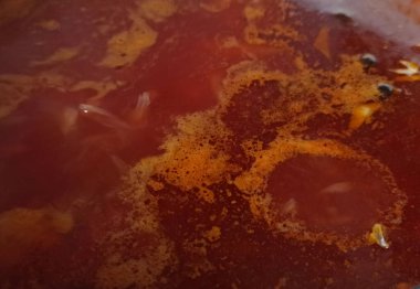 Beyaz arkaplanda kabak izole edilmiş