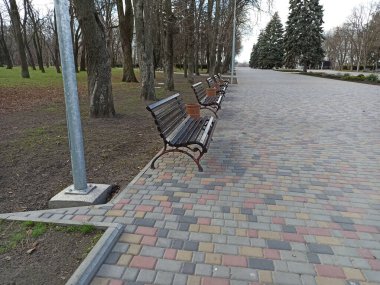 Parktaki banklar - yakın çekim