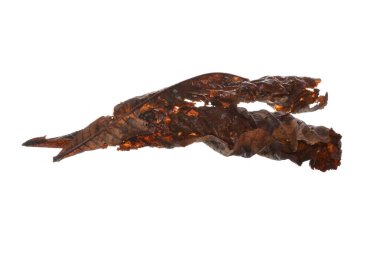 beyaz arkaplanda kuru yaprak izole