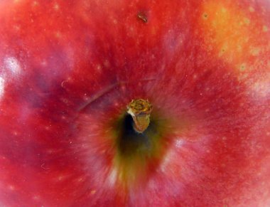                                elma beyaz arkaplanda izole edildi