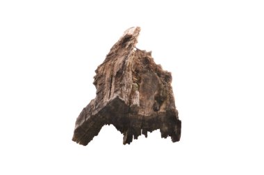 beyaz arkaplanda izole edilmiş çürük ağaç