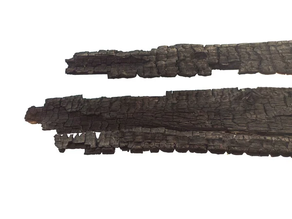 Eski ağaçların yakından çekilmiş fotoğrafları.