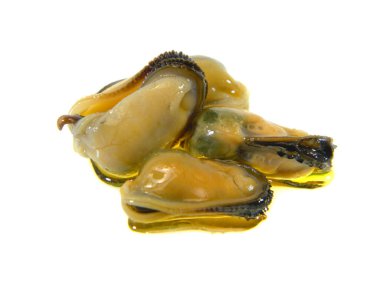                                Beyaz arkaplanda izole edilmiş istiridyeler