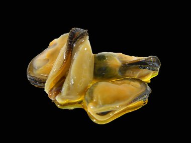 Beyaz arkaplanda izole edilmiş istiridyeler