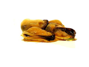 Beyaz arkaplanda izole edilmiş istiridyeler