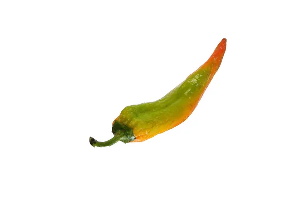 Paprika Geïsoleerd Witte Achtergrond — Stockfoto