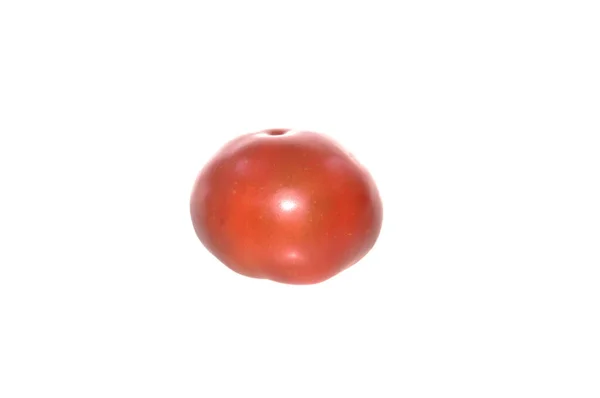 바탕에 토마토를 — 스톡 사진