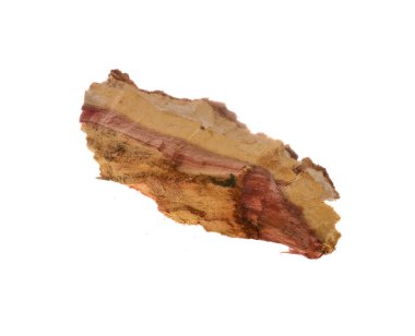 Beyaz arkaplanda ağaç kabuğu izole