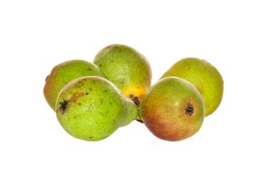 armut beyaz arkaplanda izole edildi