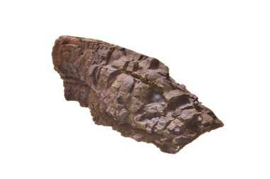 Beyaz arkaplanda yakacak odun