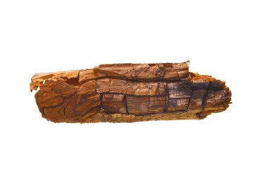 Beyaz arkaplanda yakacak odun