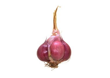 Beyaz arkaplanda sarımsak izole edilmiş.