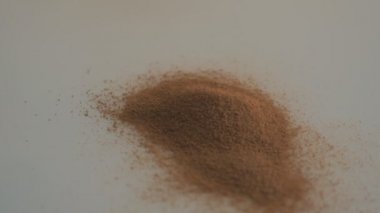 Hindiba toz beyaz bir arka plan üzerinde