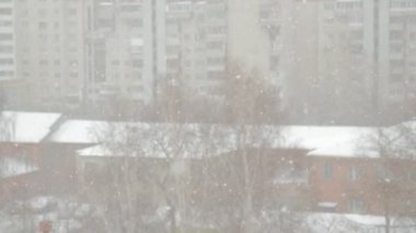 arka plan bulanık günü kar dönen pul