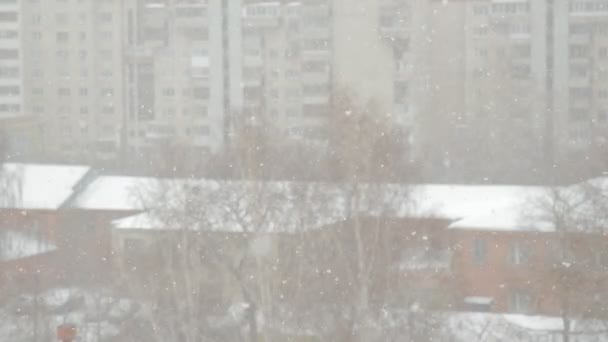 Wervelende vlokken sneeuw op onscherpe achtergrond — Stockvideo