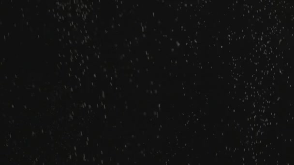 Petits morceaux de poussière sur noir. HD .