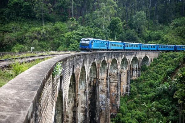 Потяг, що проходять над дев'ять арки — стокове фото