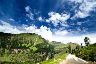 Himachal Pradesh, Manali, Hindistan