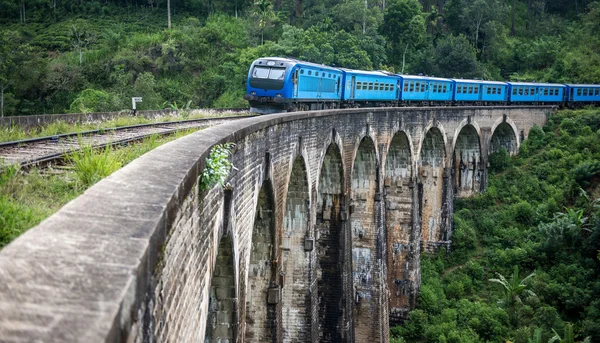 Train passing over Nine Arches — Stock Photo, Image