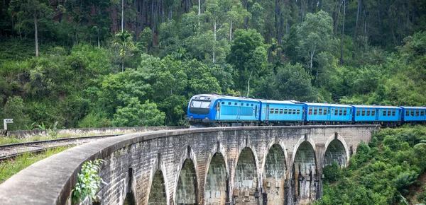 Train passing over Nine Arches — Stock Photo, Image