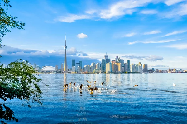Toronto skyline, Kanada — Stockfoto