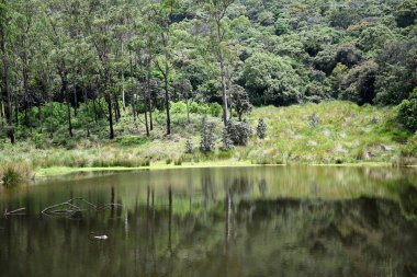 Horton Plains Ulusal Parkı