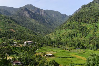 Mandaram Nuwara güzel manzara
