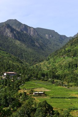 Mandaram Nuwara güzel manzara