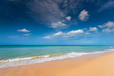 Plaj manzara Sri Lanka