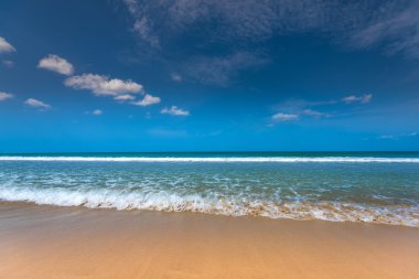 Plaj manzara Sri Lanka