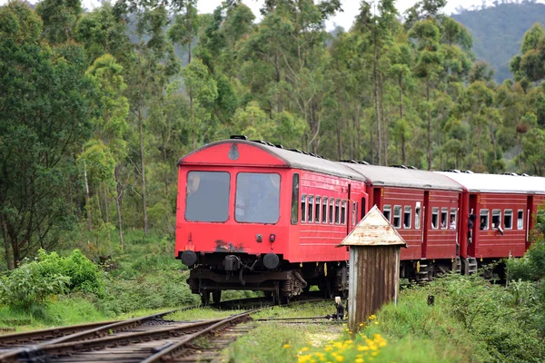 Passenger train in Sri Lanka — Stock Photo, Image