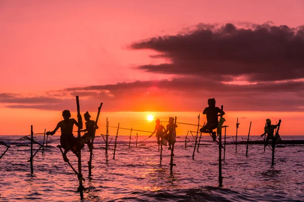 Pescadores tradicionais em paus — Fotografia de Stock