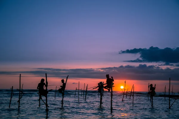 Pescadores tradicionais em paus — Fotografia de Stock